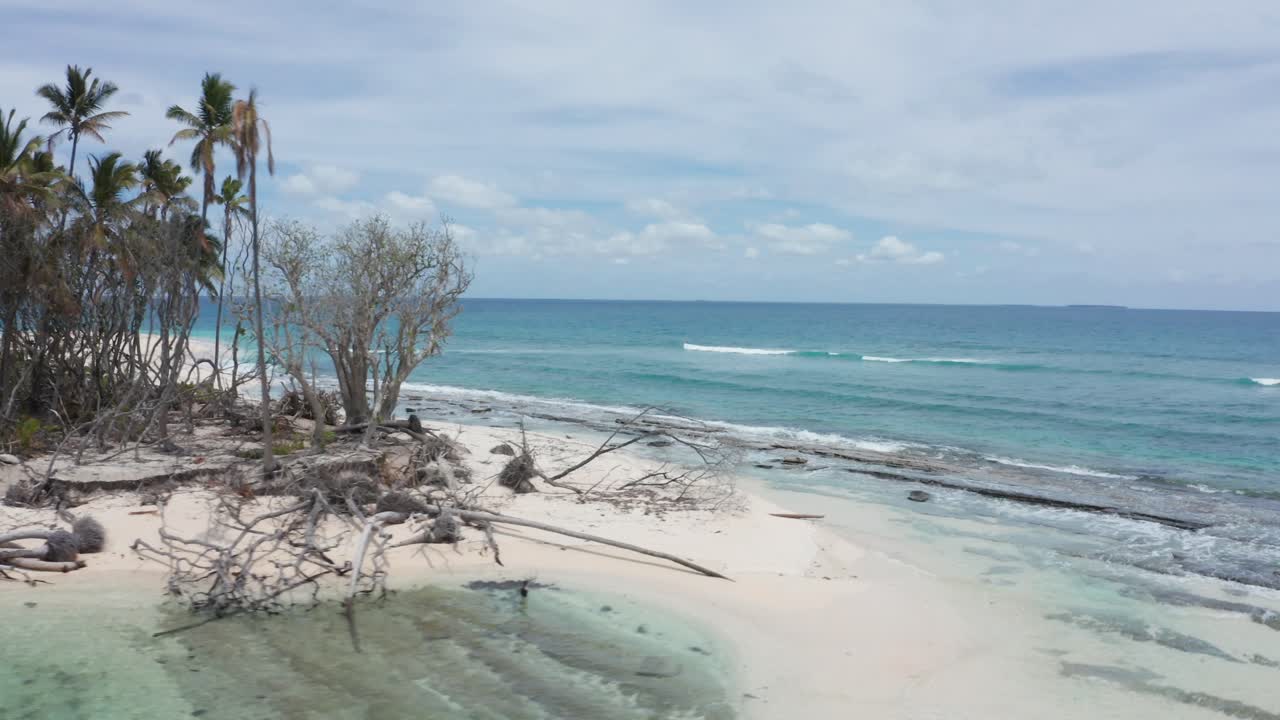 Imagem de drone de um coqueiral e praia de areia branca em uma pequena ilha tropical de Tonga, Polinésia