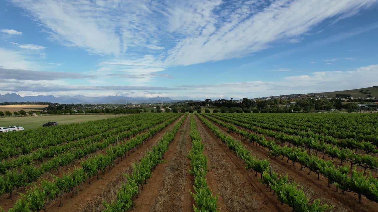 antena sobre viñedos verdes en las tierras de cultivo de franschoek de sudáfrica