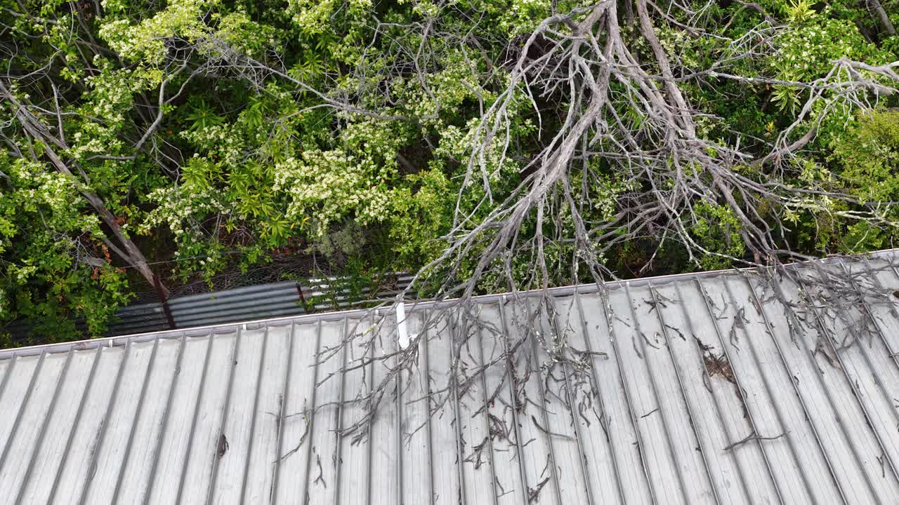 Drone shot reveals a large fallen tree limb resting on a damaged metal house roof
