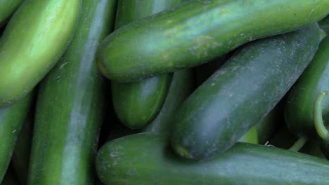 fresh green cucumber many close up from top angle