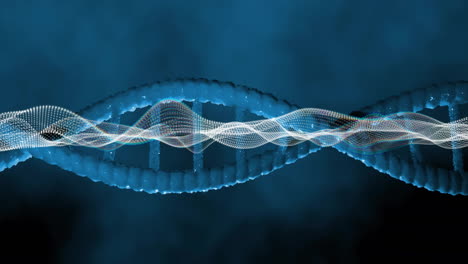 Animation-Des-DNA-Strangs-Und-Der-Datenverarbeitung