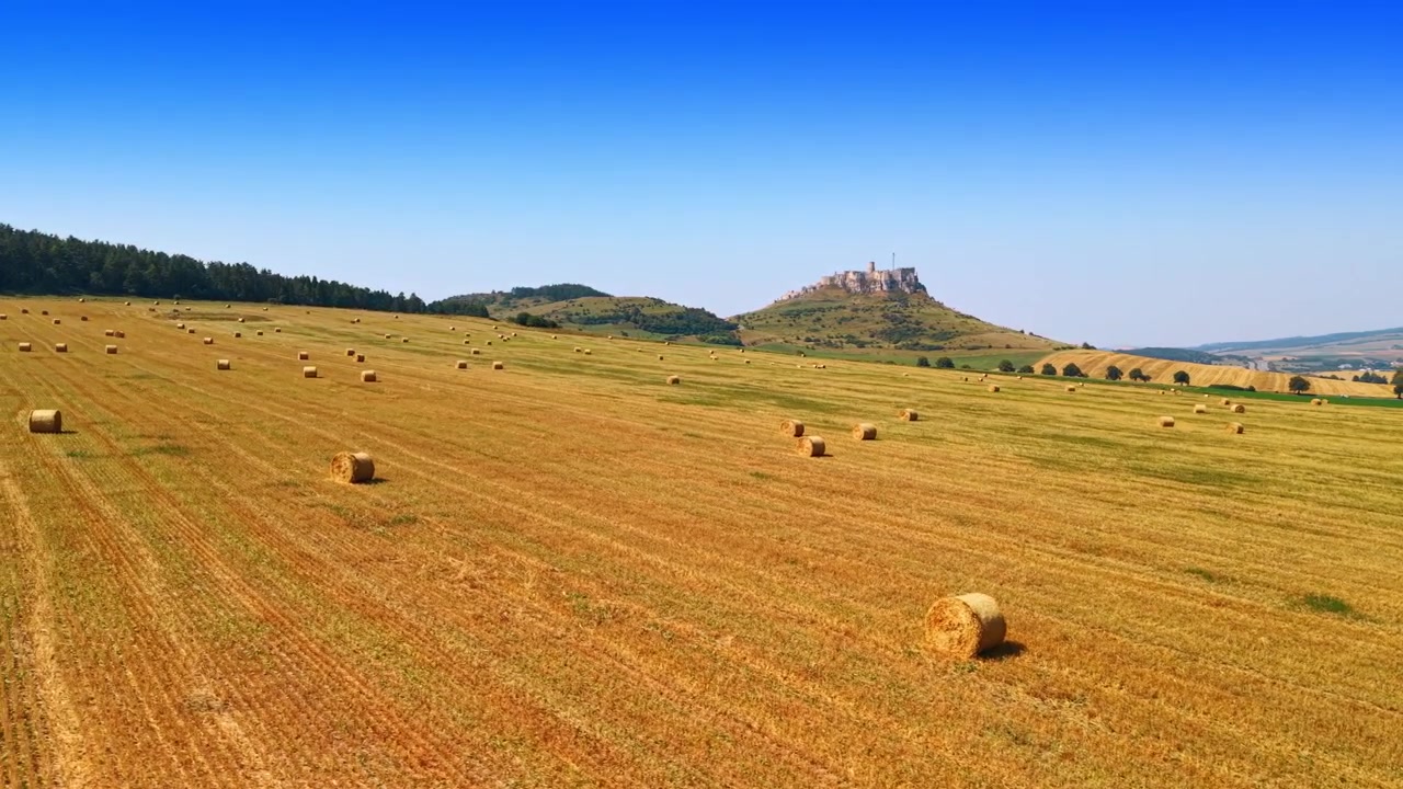 Campo agricolo con balle di fieno vicino a una collina. Balle di fieno sono sparse in un campo agricolo sotto un cielo blu. In lontananza, una collina con un castello