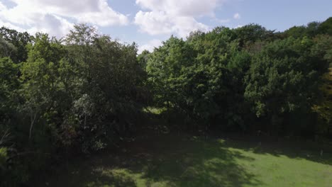 Drone-rising-shot-over-trees-near-Snaptun-in-Denmark