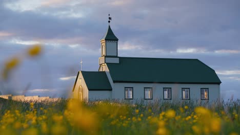 a serene church in the middle of grassland filled with yellow wildflowers