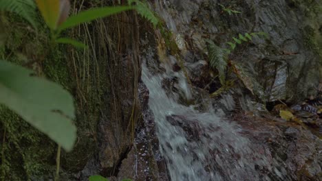 Freshwater-Crash-Into-Mossy-Rocks---Crystal-Cascades-Rainforest-In-Queensland,-Australia