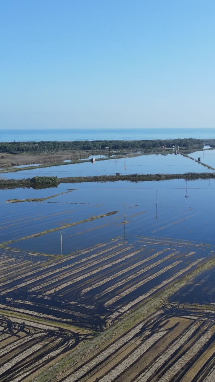 Aerial view of flooded rice fields stretching towards the coastline