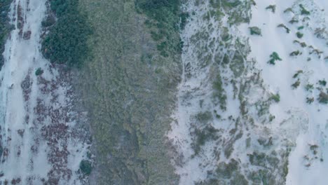 Aerial-flying-over-Netherlands-coastal-dunes-at-sunset