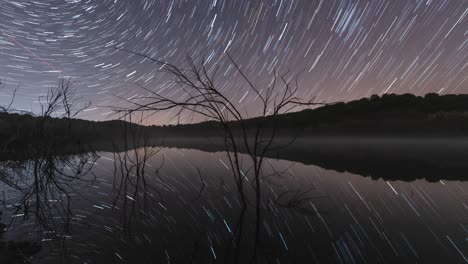 Ramas-Secas-En-Un-Lago-Bajo-El-Cielo-Estrellado