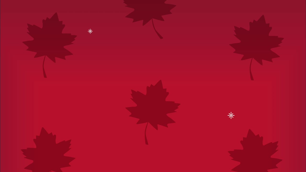 canadian maple leafs pattern animation