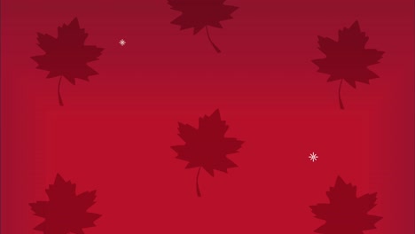 animación del patrón de las hojas de arce canadienses