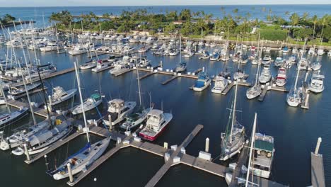 panorama del puerto deportivo de ko olina, veleros estacionados, paseo marítimo de palmeras, seguimiento aéreo de hawaii