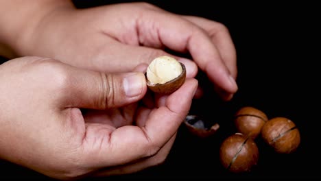 Hands cracking and revealing macadamia nuts