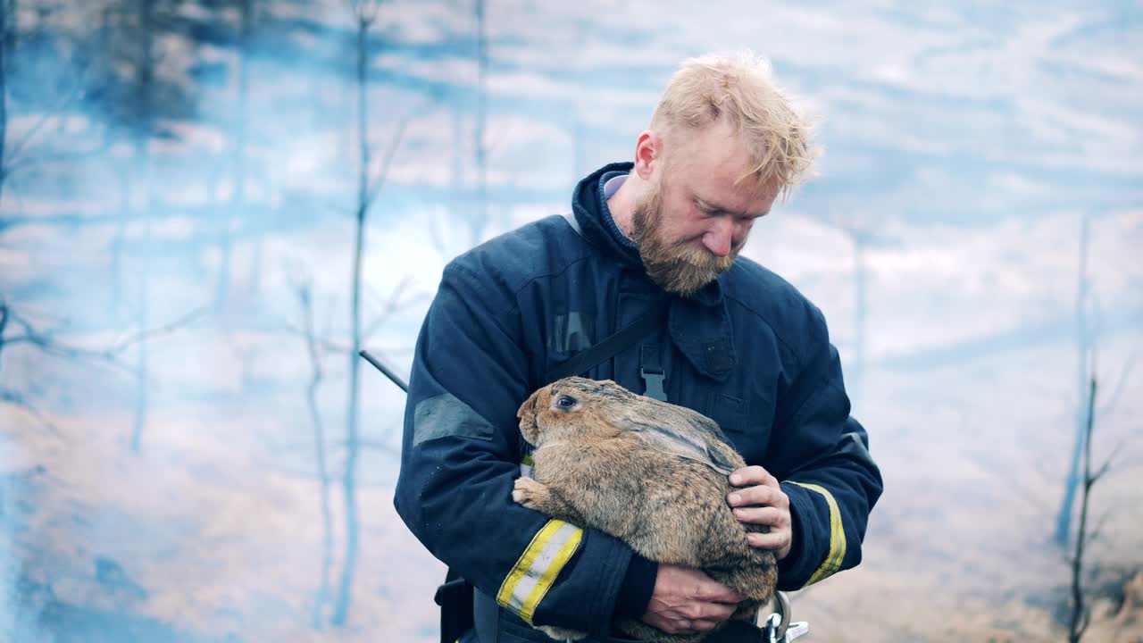 el bombero está acariciando a un conejo rescatado del fuego
