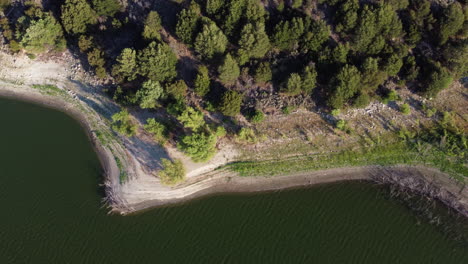 Coastal-forest-near-lake-Hemet,-top-down-aerial-view