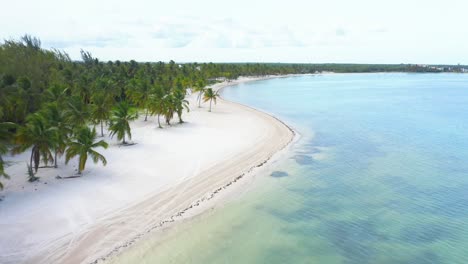 aerial shot with drone of white beach in cap cana