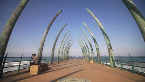 bajando por el muelle de ballenas