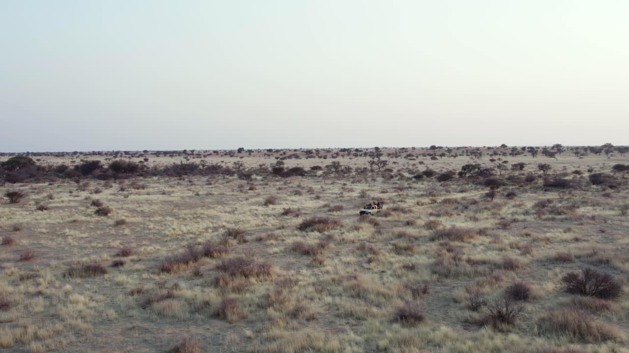 antena: jeep safari en el parque nacional africano, vista panorámica de pastizales secos