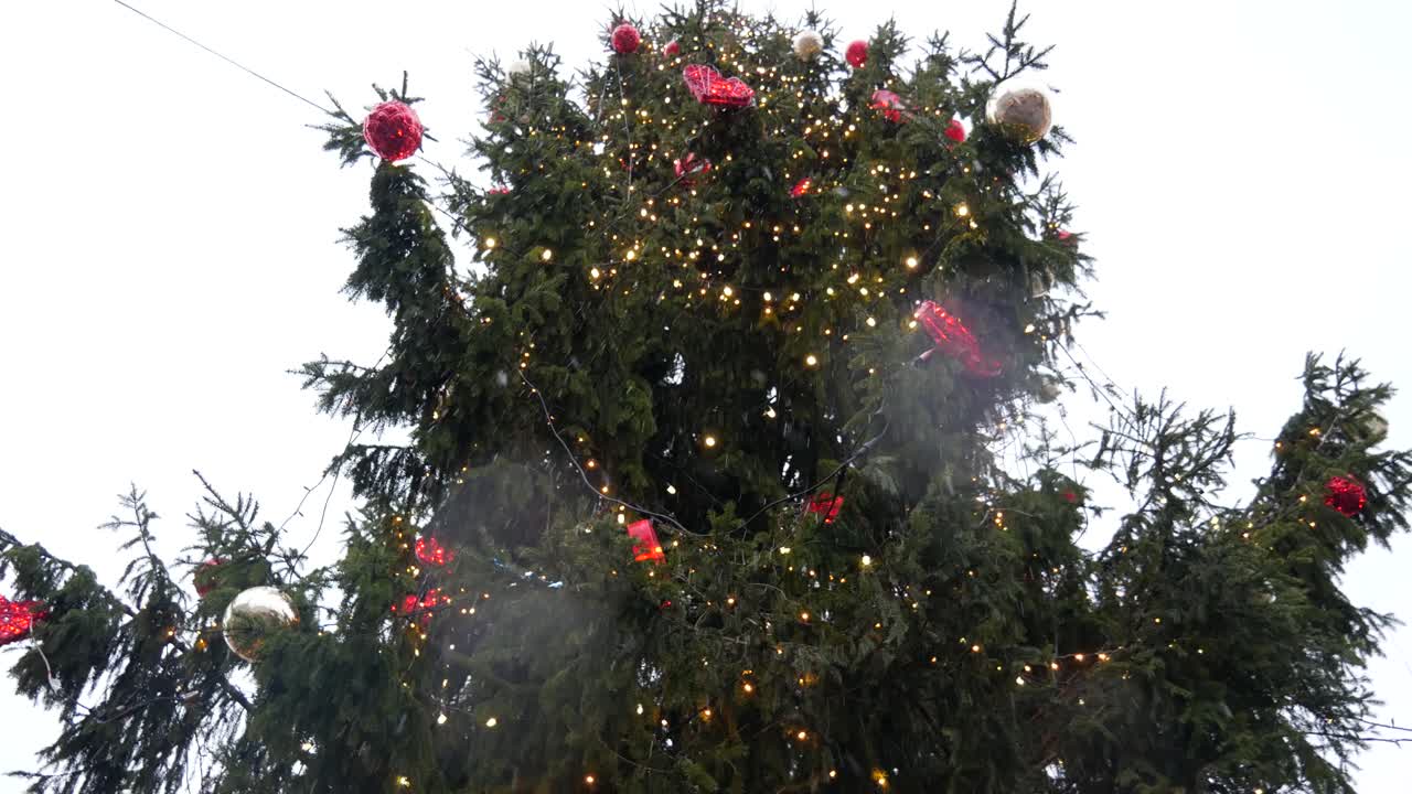 Bottom to top view of Tallinn's Christmas Market Christmas tree while snowing and snowflakes getting on to camera lens.