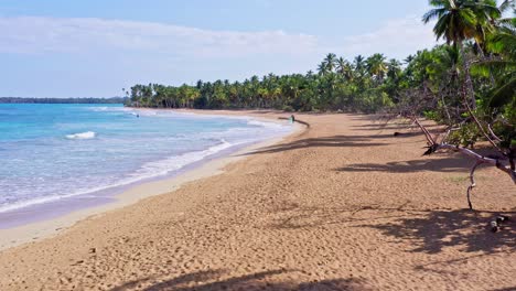 fishermen pulling creels ashore, coson beach, las terrenas in dominican republic