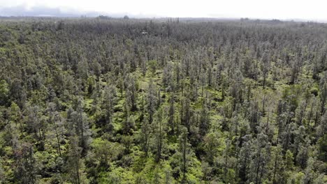 Arial-Sinkende-Drohne-Auf-Big-Island-Hawaii