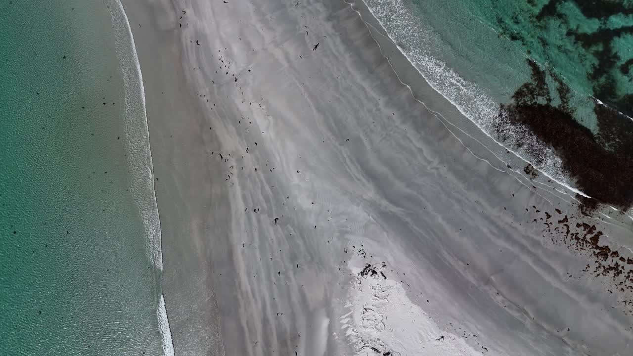 Primo piano di sabbia bianca e sabbia nera su un banco di sabbia in spiaggia, vista aerea dall'alto.