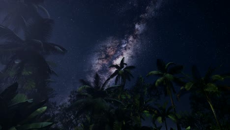 4k-Astro-De-La-Galaxia-De-La-Vía-Láctea-Sobre-La-Selva-Tropical.