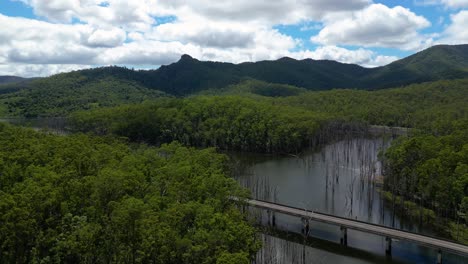 Left-to-right-aerial-view-over-Pine-Creek-Bridge,-Springbrook-National-Park-on-the-Gold-Coast-Hinterland,-Queensland,-Australia