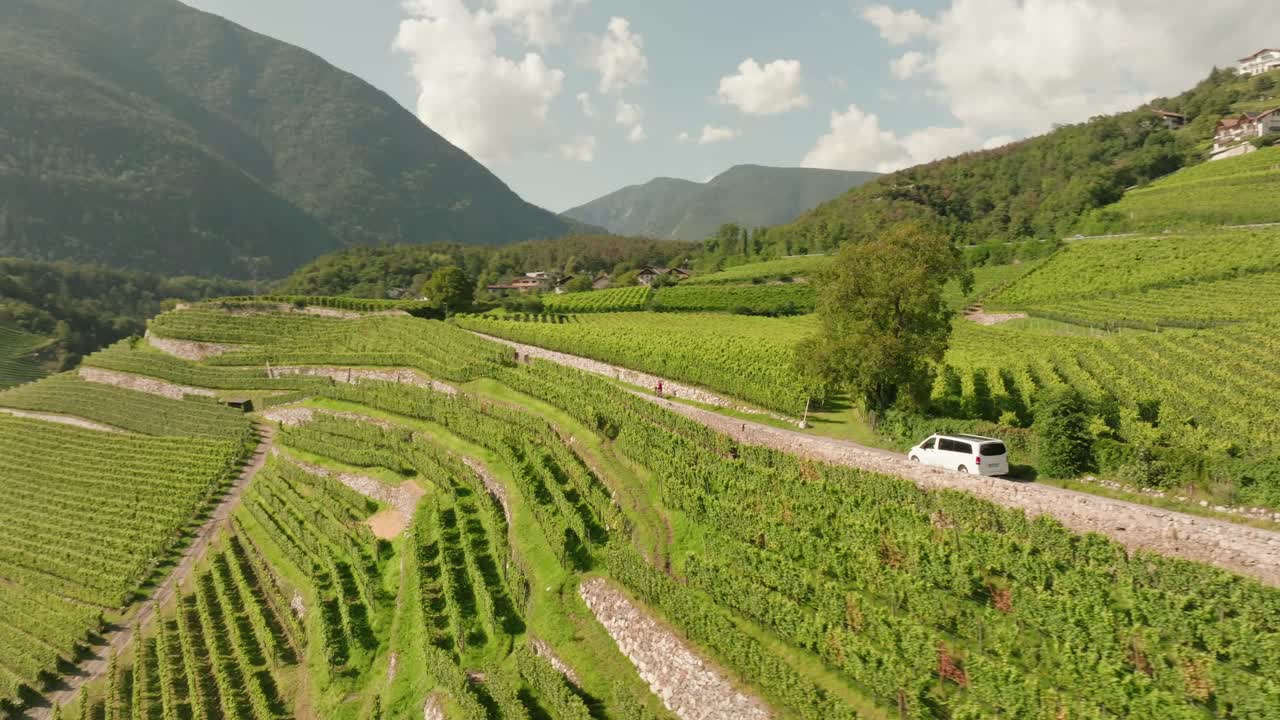 Scivola attraverso vigneti pittoreschi mentre taxi e auto percorrono la bellezza della regione vinicola