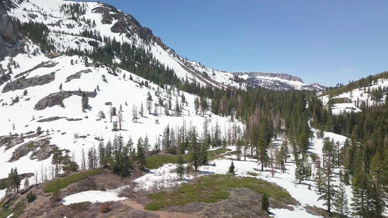 눈 덮인 산의 나무 꼭대기 위로 저공비행