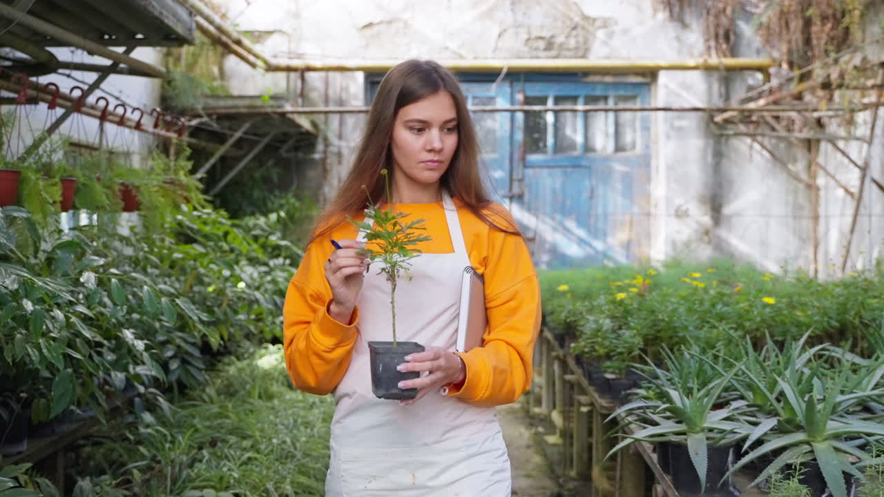 mujer inspeccionando una planta en un invernadero