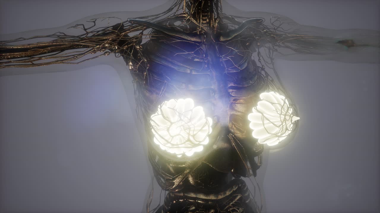 cuerpo humano con brillo visible glándula mamaria