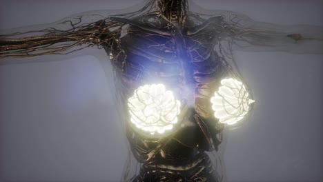 cuerpo humano con brillo visible glándula mamaria
