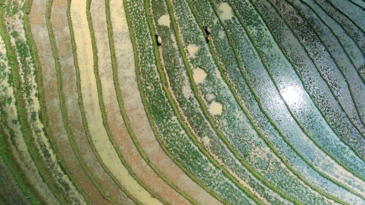 다채로운  ⁇  테라스 풍경