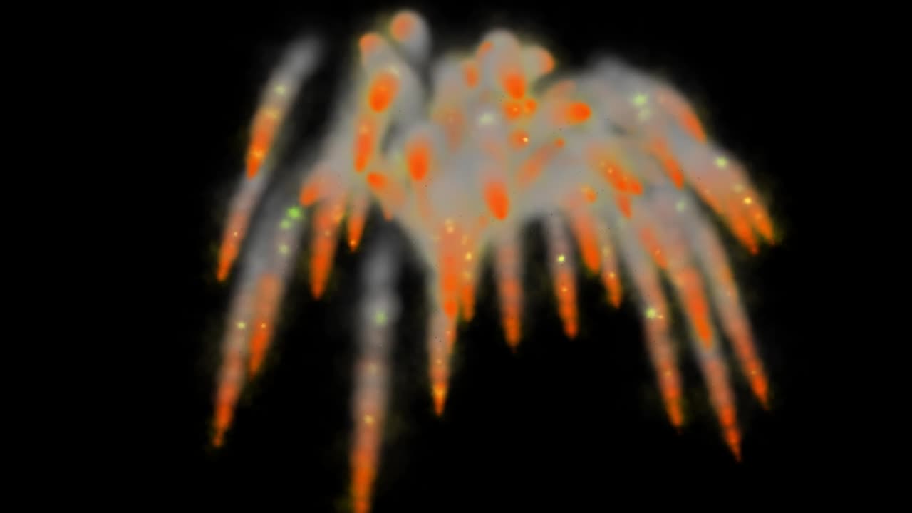 연기를 불어넣는 색 입자 애니메이션 모션 그래픽