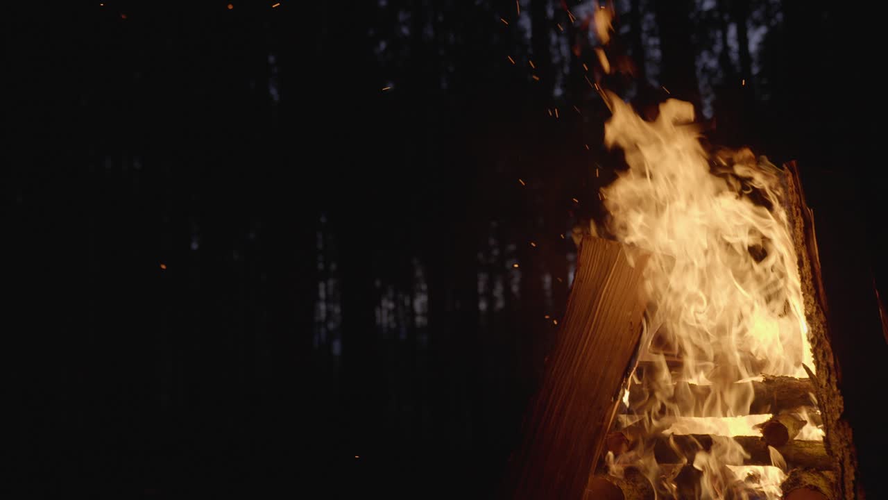 밤 에 숲 에서 불 을 피우는 것