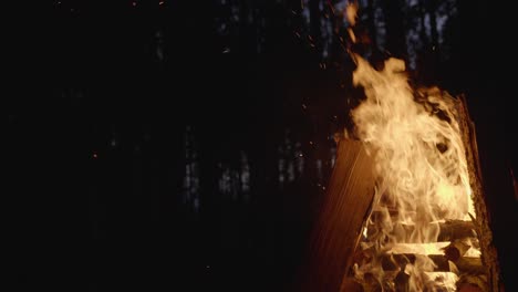 fogata en el bosque por la noche