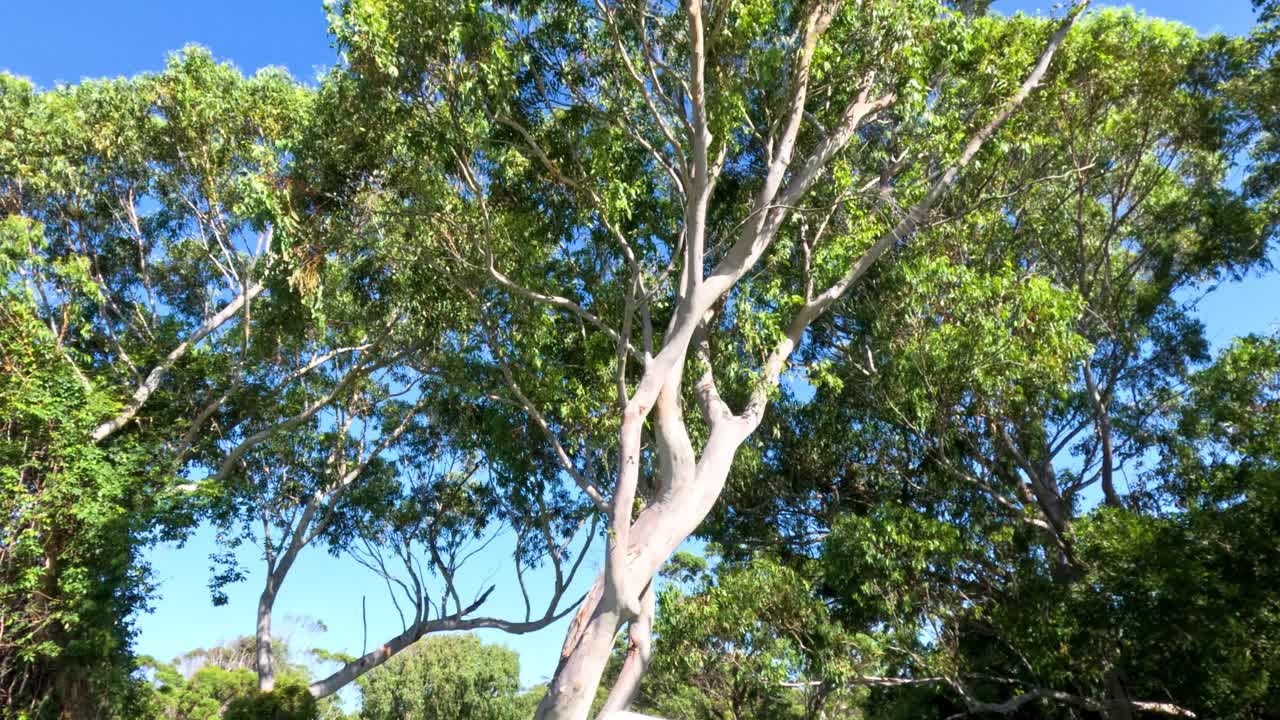 Signpost along a lush, green nature trail