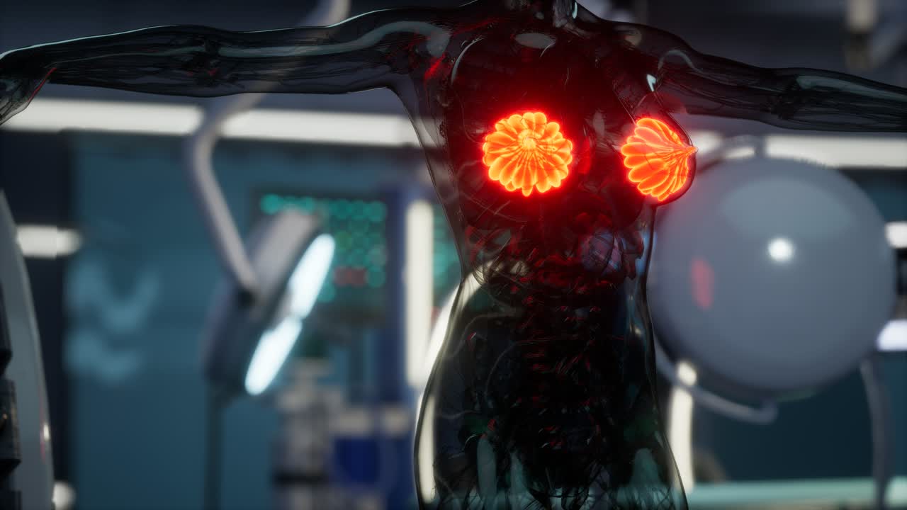 여성 유방 의 의학적 검사