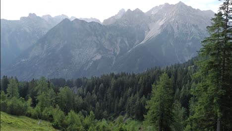 Vista-Desde-El-Campo-Con-Flores-Sobre-Los-Alpes-Austriacos