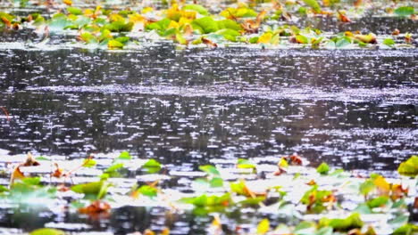 Las-Gotas-De-Lluvia-Salpican-La-Superficie-De-Un-Estanque-En-Cámara-Ultra-Lenta