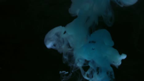 colorful red and blue paint drops mixing in water. ink swirling underwater. colored acrylic cloud abstract smoke explosion. close up view