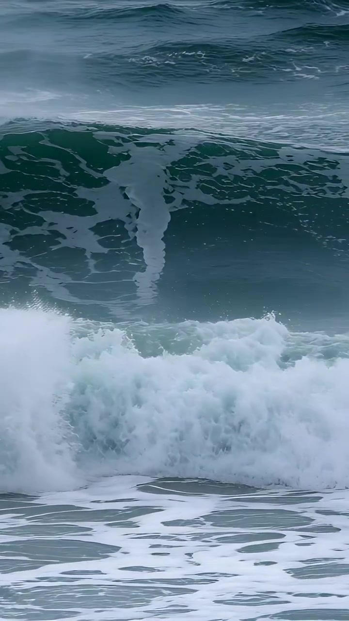 Vertical video: Surging swell entering surf zone, forming breaking crest and whitewater foam
