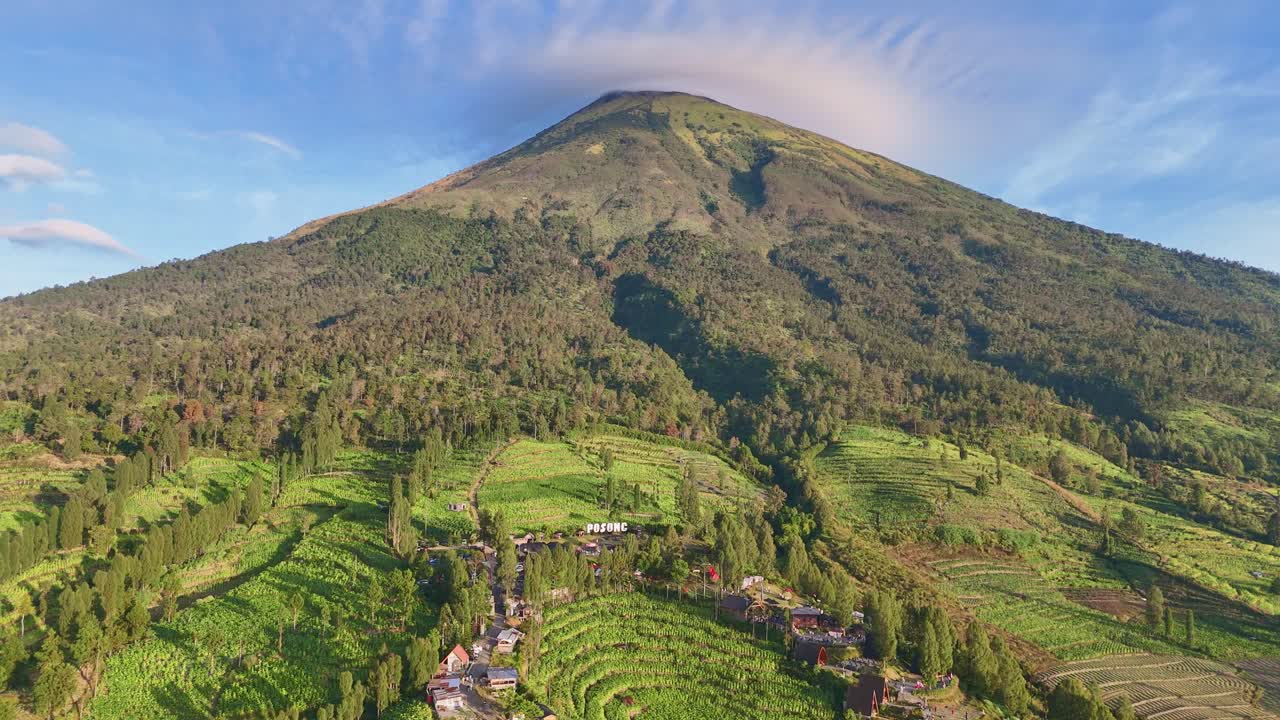 Aerial view of large tobacco plantation on the slope of Sindoro Mountain in sunny morning, blue sky, Indonesia