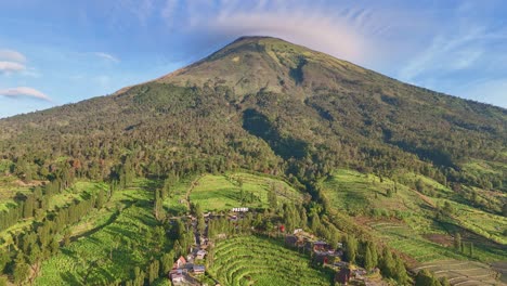 vista aérea de una gran plantación de tabaco en la ladera de la montaña sindoro en una mañana soleada, cielo azul, indonesia