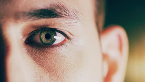 abre los ojos a lo que está delante de ti