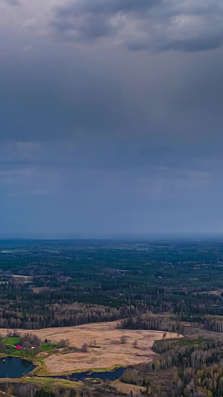 Timelapse aereo statico verticale di foreste e zone umide sotto nuvole temporalesche