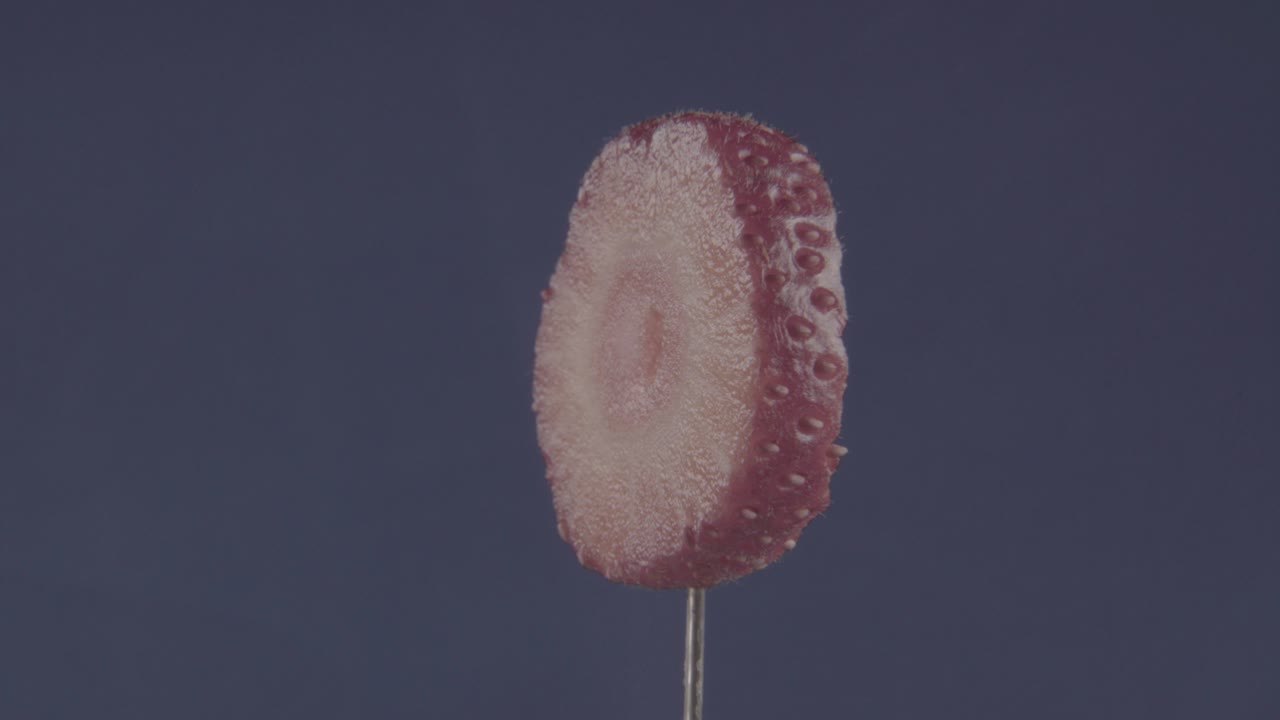 크로마 키를 위해 파란 화면에 루프와 함께 회전하는 딸기