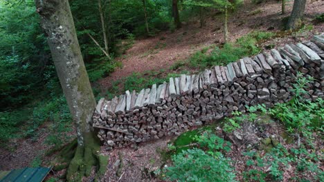 slow movement over firewood stacked in a forest for the winter