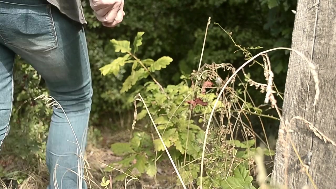 Kvinne går inn i en skoglysning