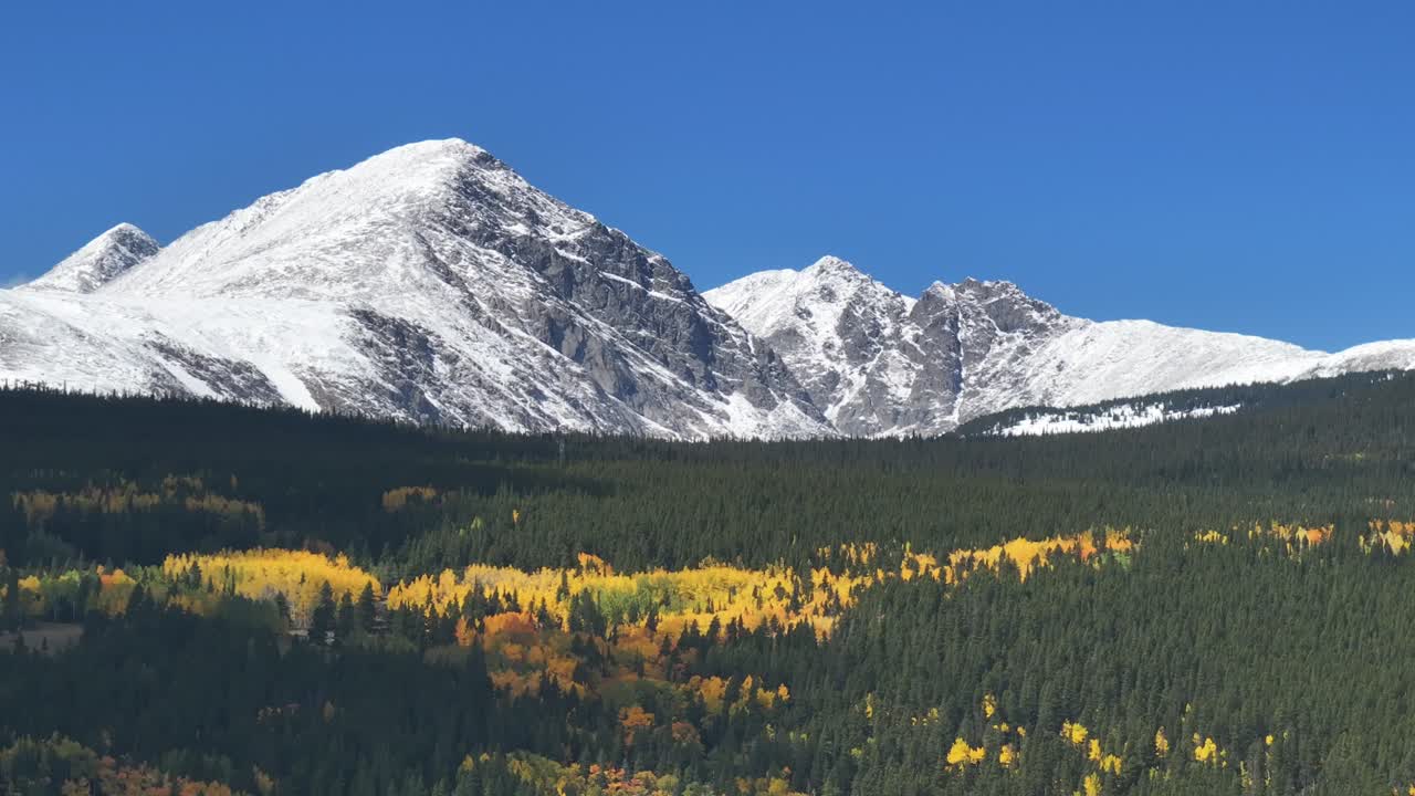Drone shot rising above golden aspen trees to reveal a snow covered peak